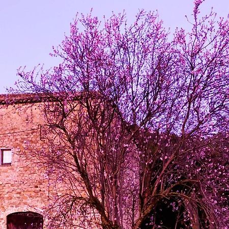 El Castell de Segueró Apartamento Beuda Exterior foto